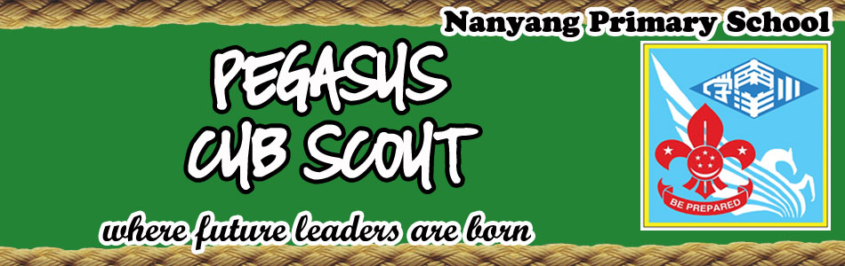 Nanyang Pegasus Cub Scout