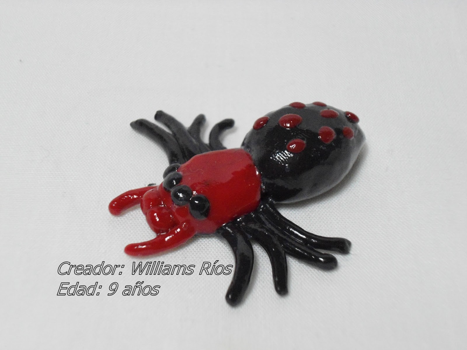 FIGURAS DE PLASTILINA. Fauna del parque nacional Mariusa, ubicado en