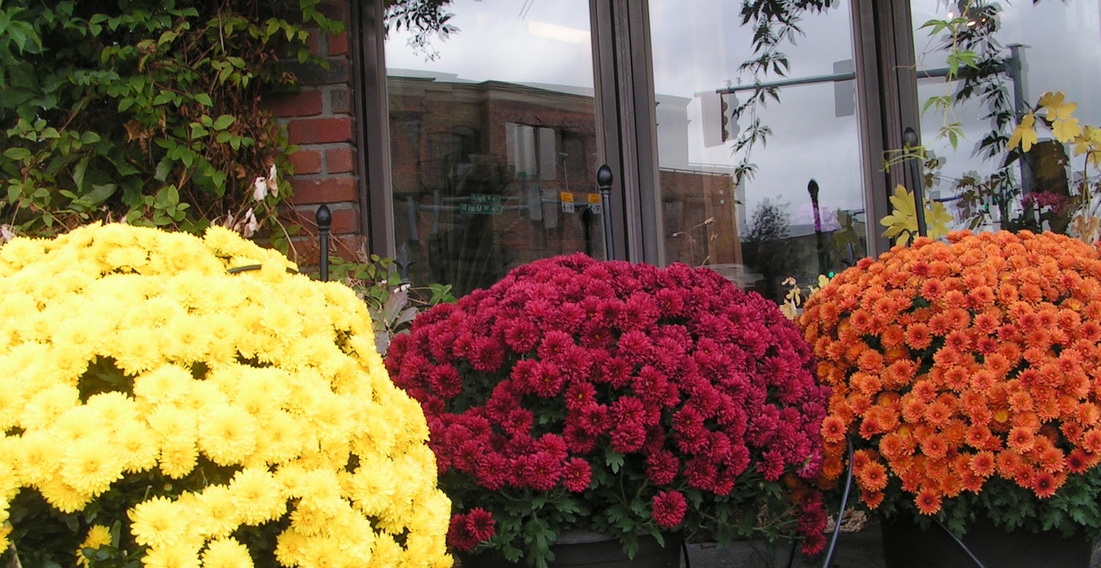 Bozeman's Country Flower Shop