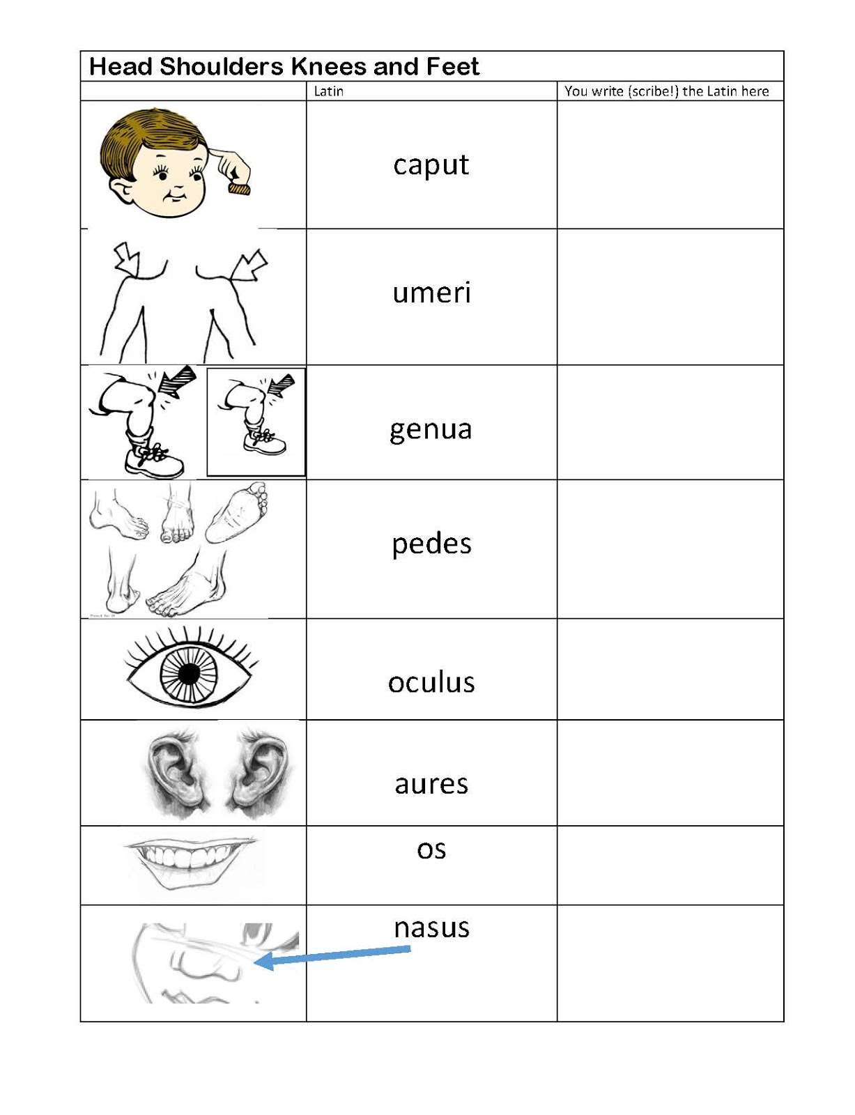 2018_2019 Latin I Head Shoulders Knees and Toes vocabulary for first
