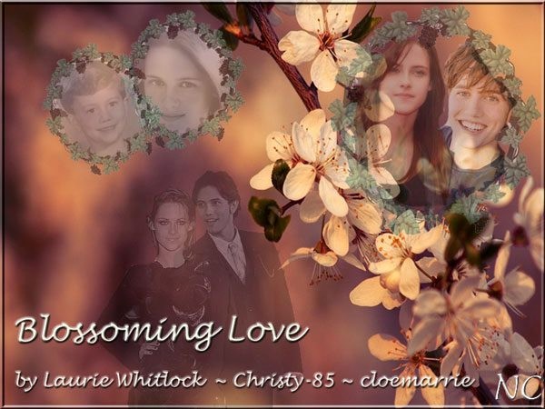 blossoming love in trouble times blossoming love in trouble times