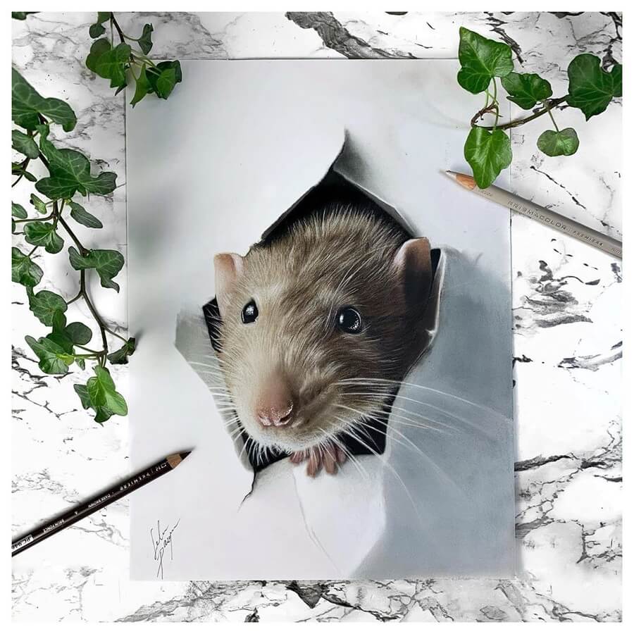Surprise! by S. Pasquier 02-Surprise-Brown-Rat-Solene-Pasquier-www-designstack-co
