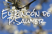 El Rincón de P.Sawyer