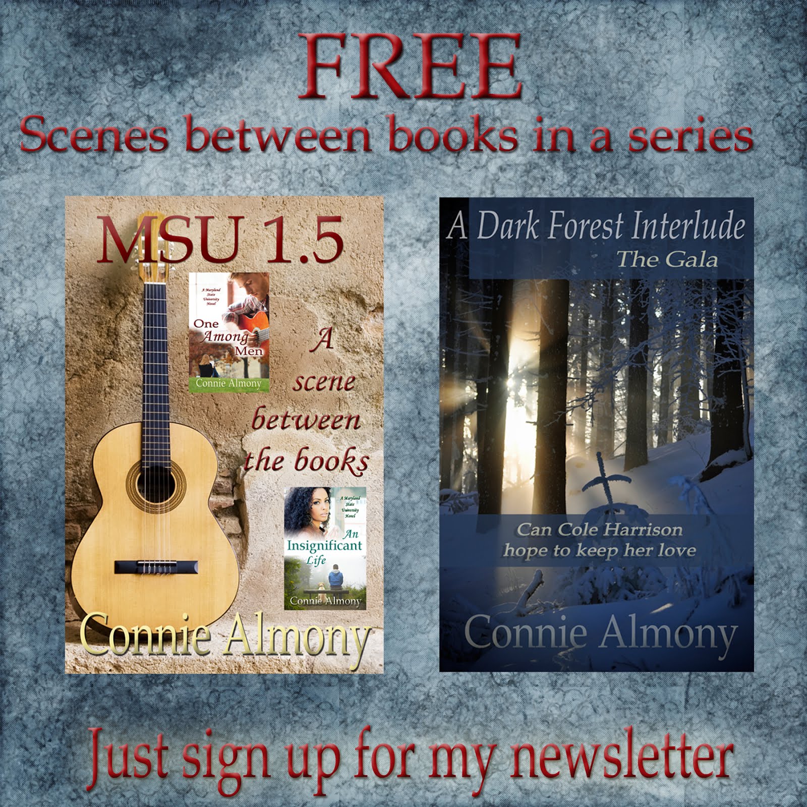 Connie's Author Newsletter