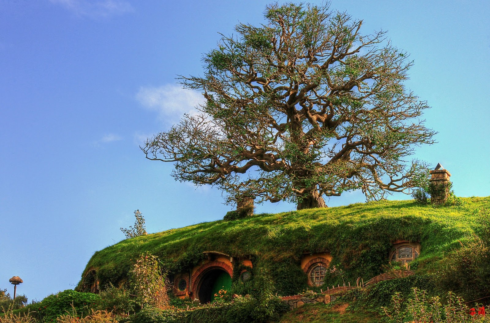 Matamata Hobbiton, "The Shire". A voyage to Matamata, New Zealand