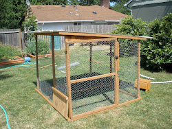 run chicken plans coop must access op door