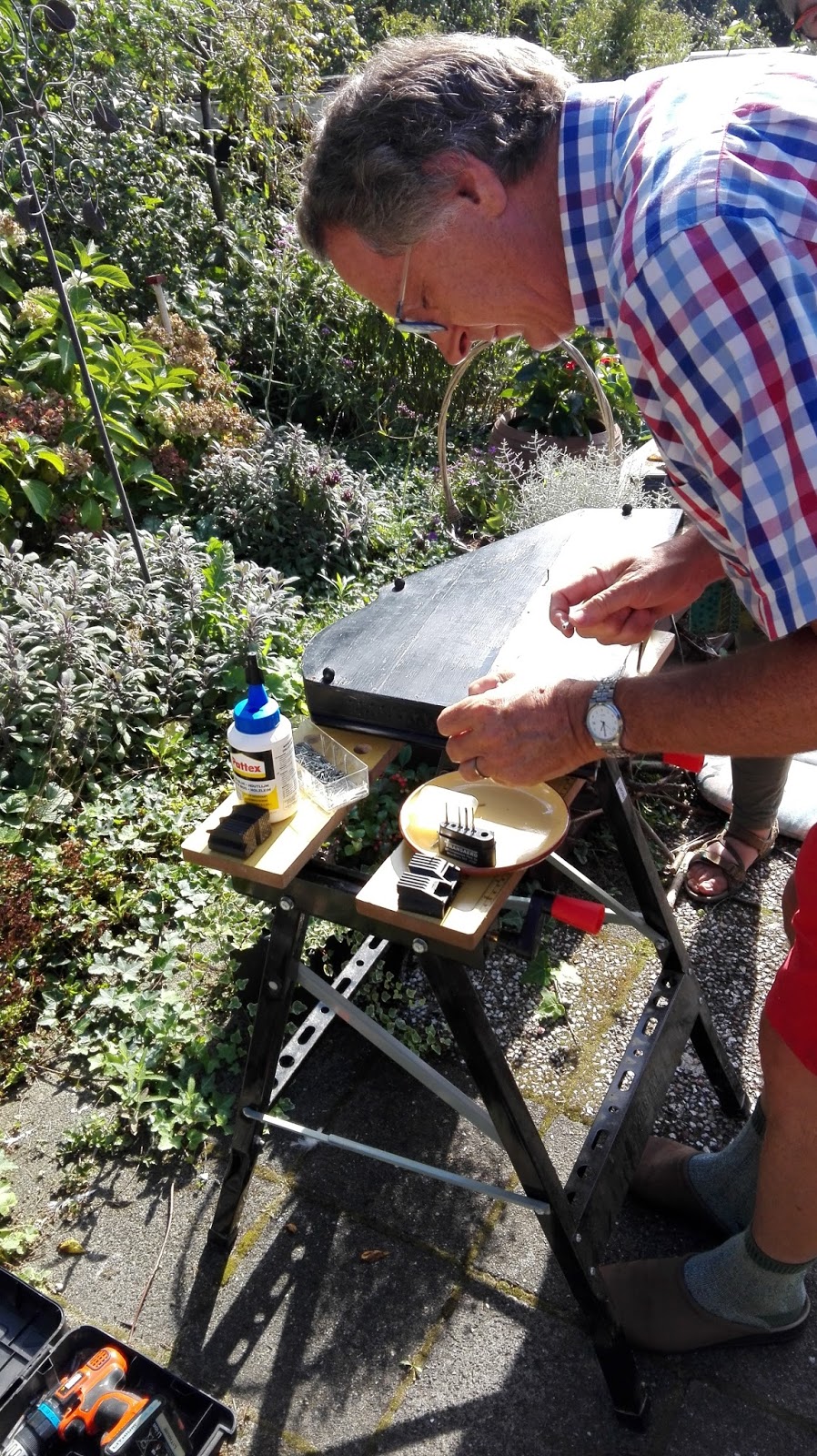 The Müller Autoharp Restoration Project Strings 'n pins