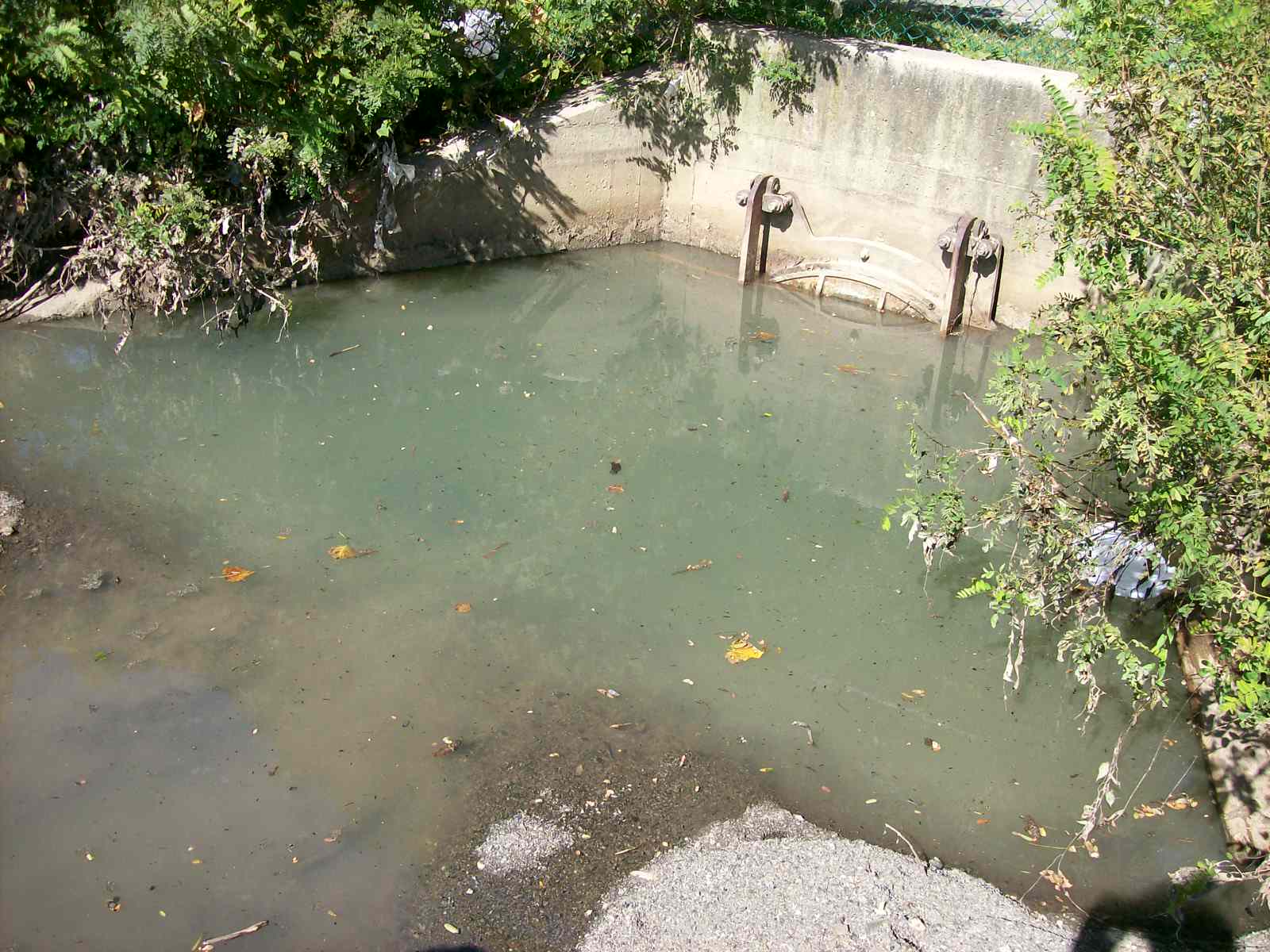 Beacon Harbor Sewage Discharge Case Closed Riverkeeper