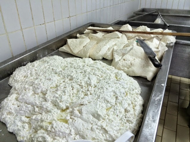 fiordilatte di agerola mozzarella cheese