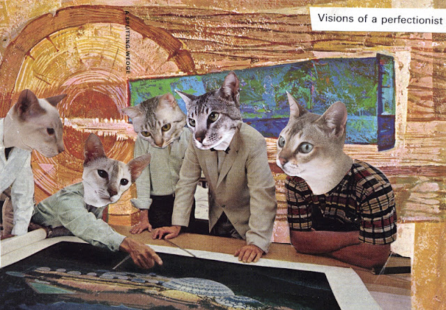 Surreal cat collages