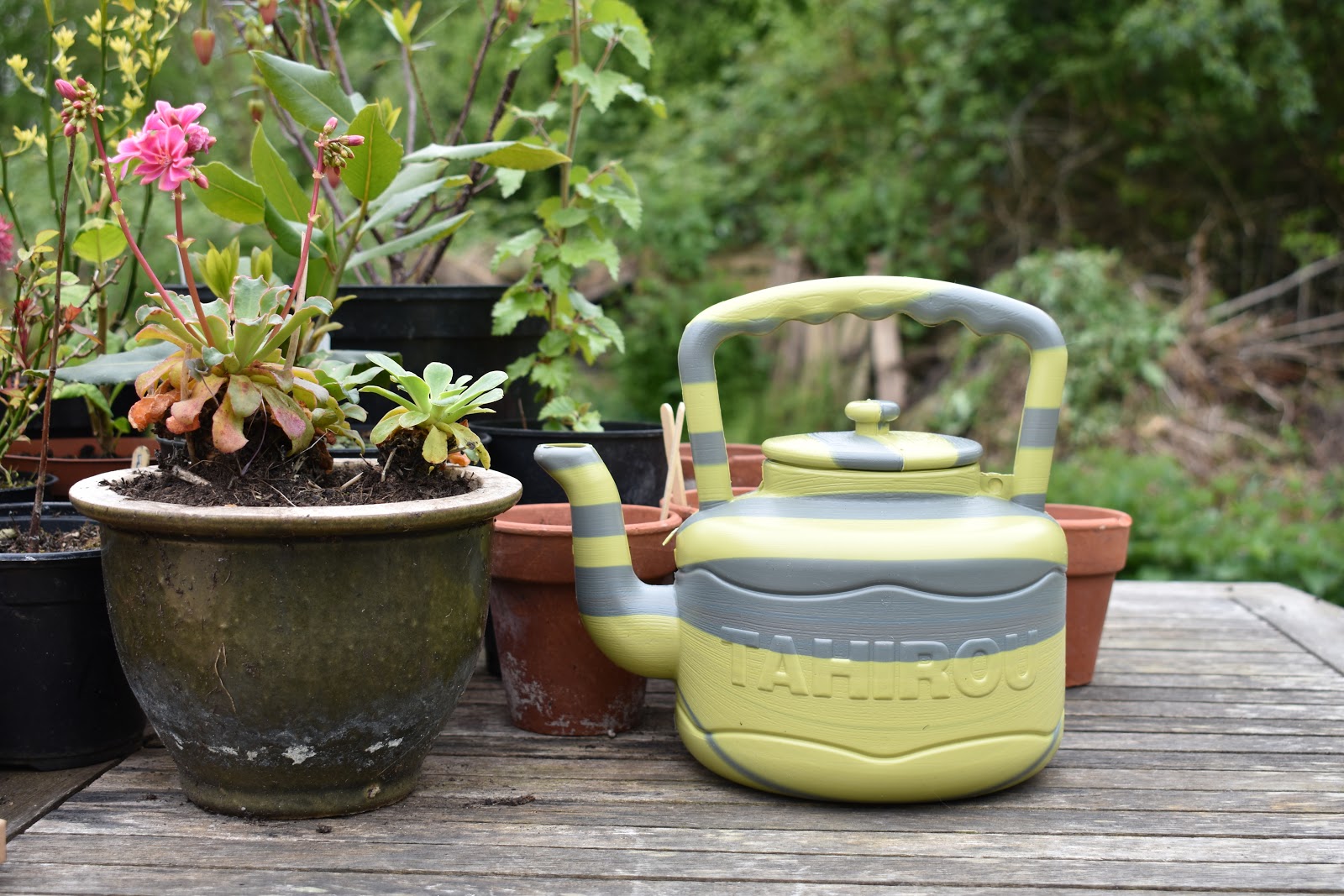 Product Review Iconic African plastic kettle