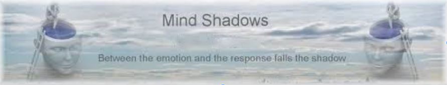 Mind Shadows: Lives, Usual and Unusual