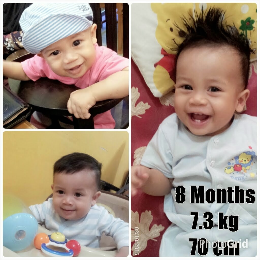 8 Months