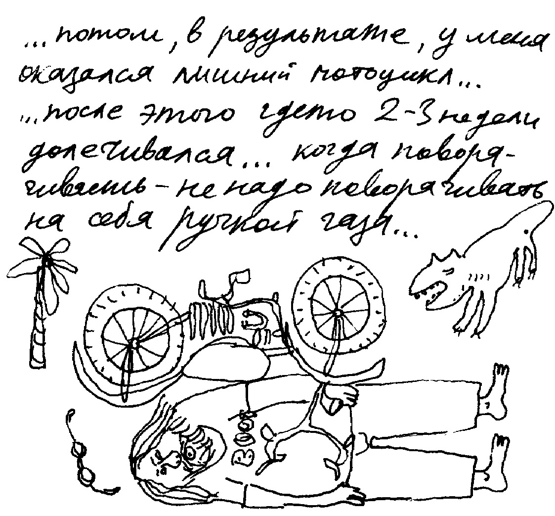 Книжник скелет хонда субтитры