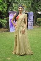 Sanam Shetty Photo Shoot in Half Saree TollywoodBlog.com