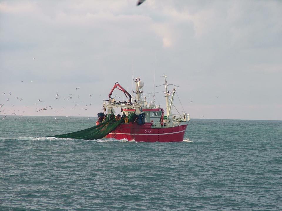 Fish Seafood Deli. Fresh from the Ocean
