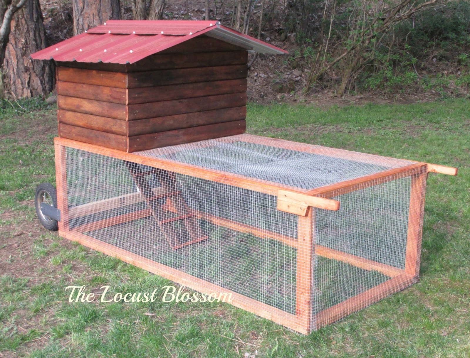 The Locust Blossom The 42 Chicken Tractor