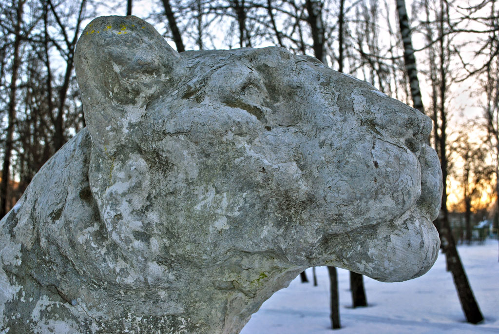 Парк пионеров петрозаводск Парк пионеров петрозаводск