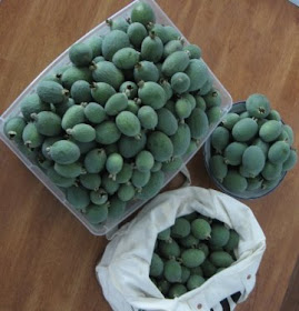 Pineapple guavas