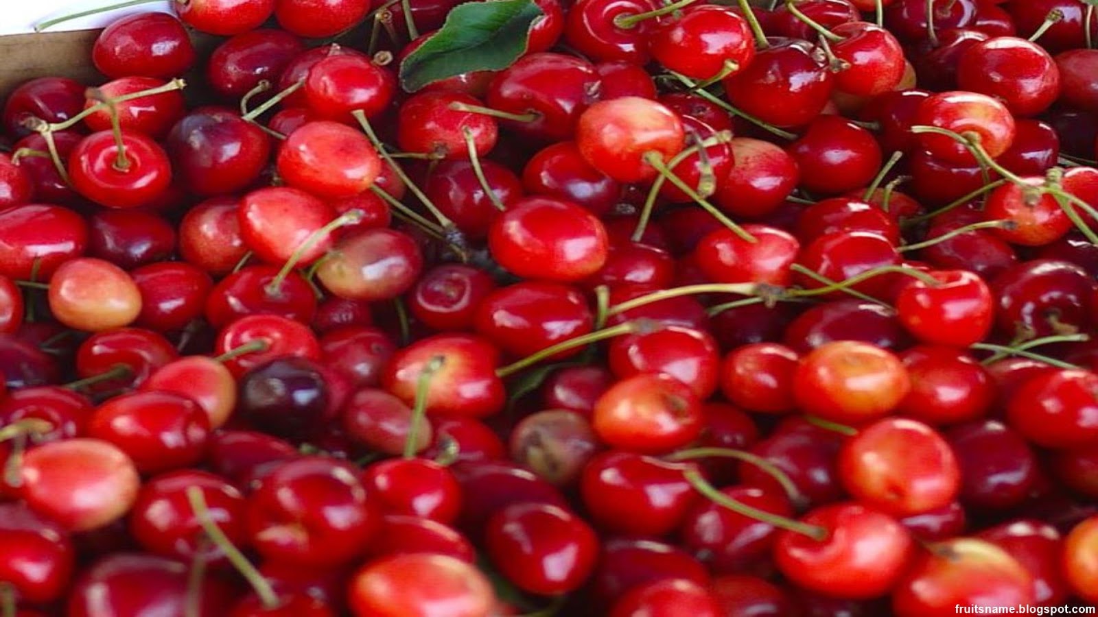 Fruits That Start With Q