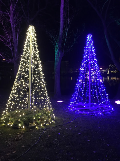 Trees aglow up and down the river in Rockford at Christmastime