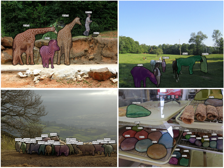 Facebook人工智慧影像辨識系統 圖說明