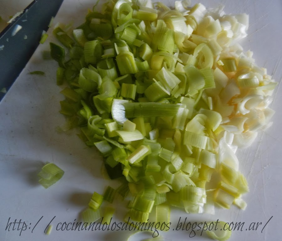 lasaña de carne y vegetales