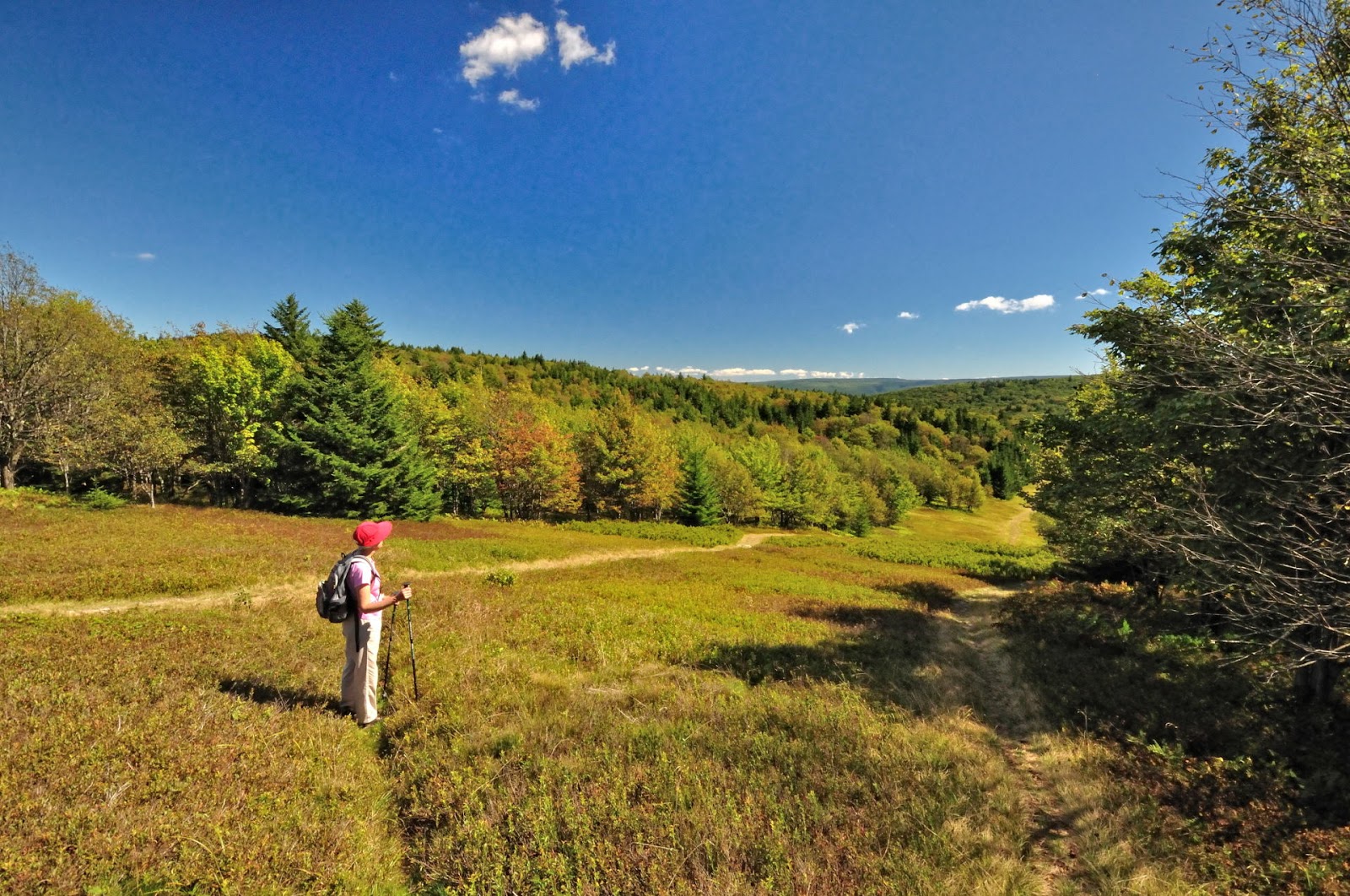 Discover West Virginia Ride to the top of Canaan Valley The Bald Knob