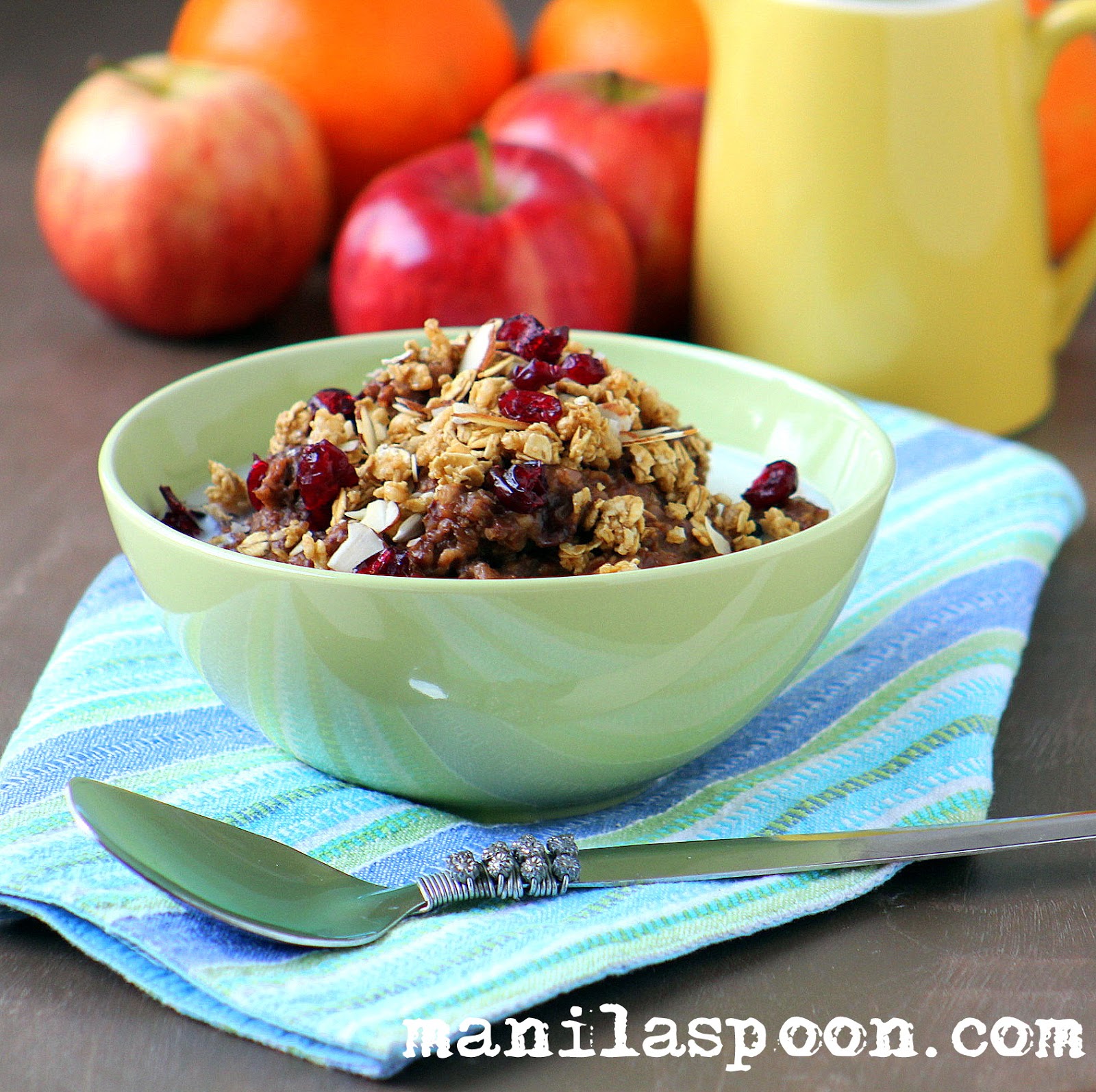Chocolate Oatmeal with Cranberries and Granola