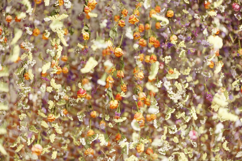 ‘Le Jardin Préservé’, las flores de Rebbeca Louise-Law en los establos de Chaumont-sur-Loire
