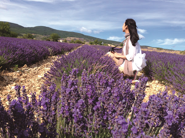 凱洛風尚 凱洛風尚