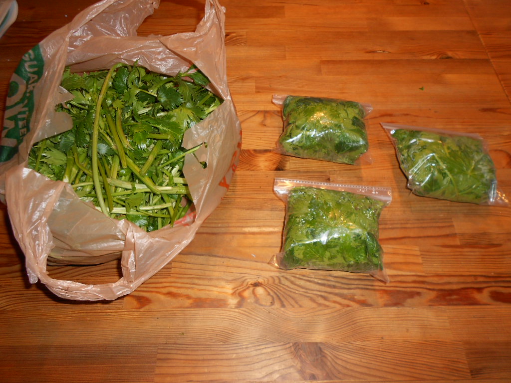 From Seed to Scrumptious Freezing Celery Leaves