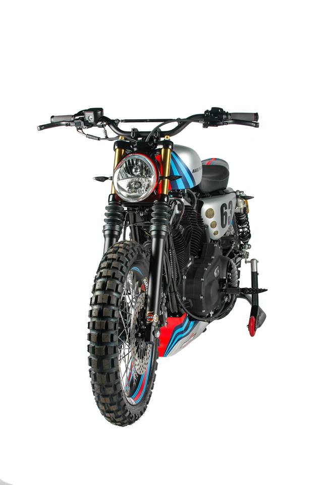 harley martini racing