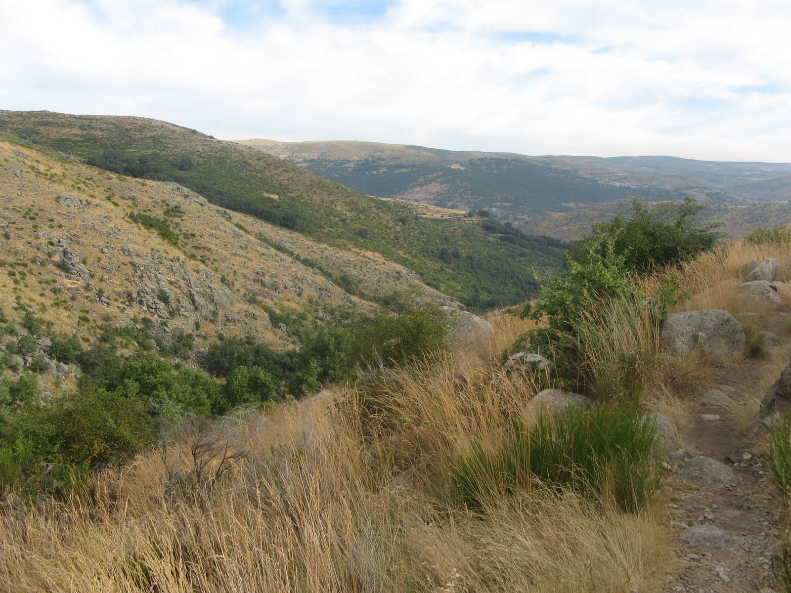 Camino a ninguna parte. Bitácora errática. Cabeza Nevada o Mogota del