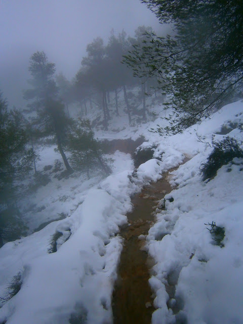 Nieve en Agres en la Serra Mariola. Autor: Miguel Alejandro Castillo Moya