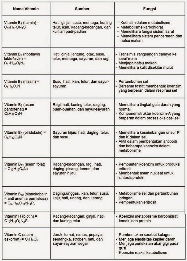 Enzim Pada Sistem Pencernaan Dan Fungsinya