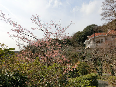 �򖭎��̃J���d�U�N��