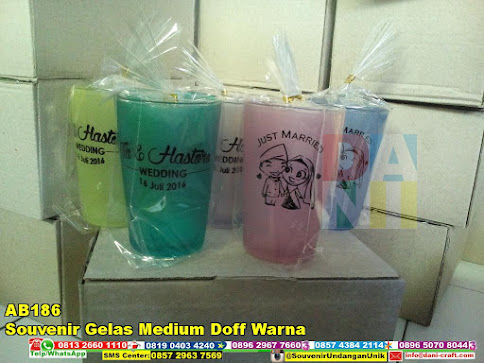 jual Souvenir Gelas Medium Doff Warna