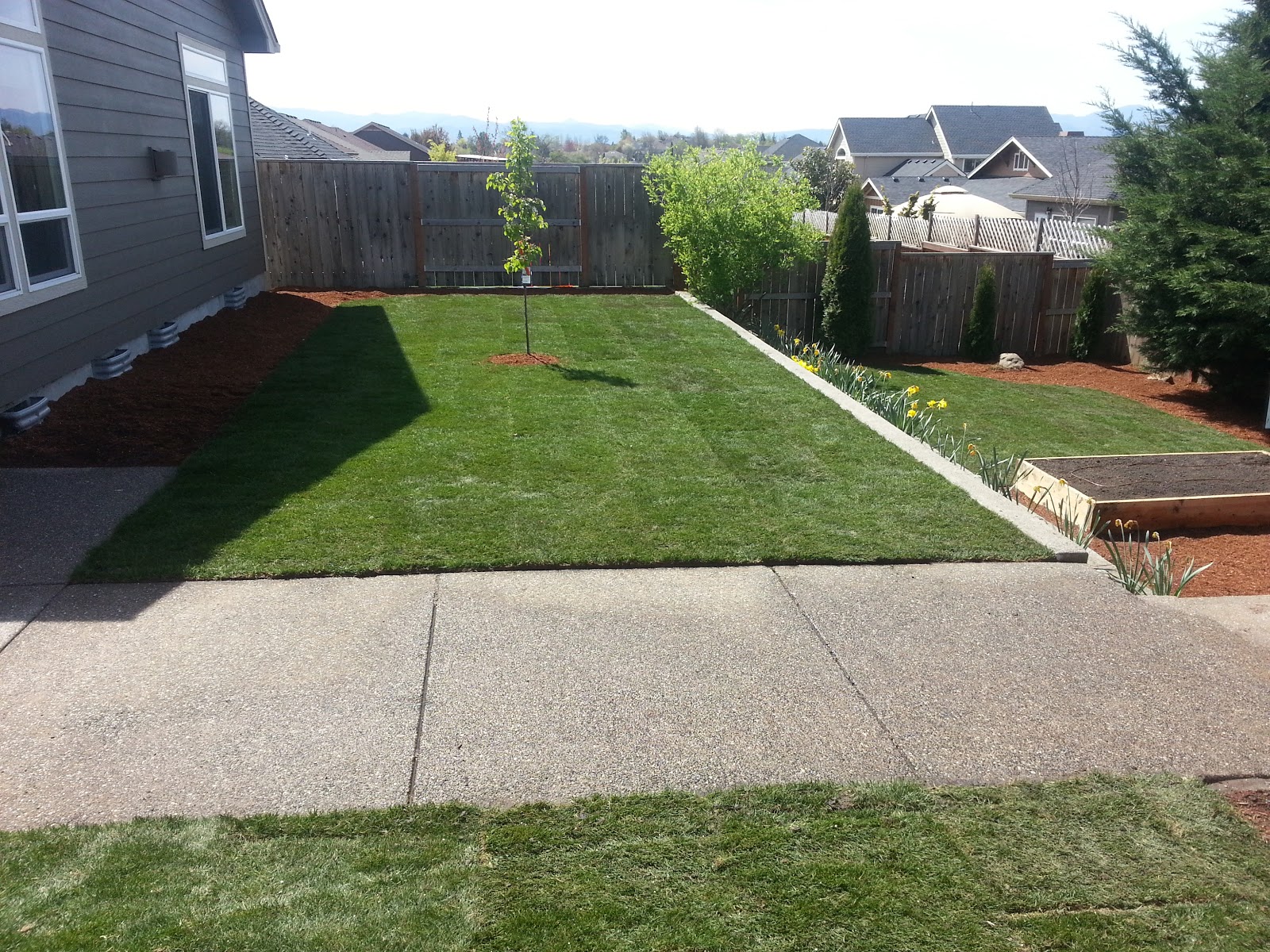 Hill Top Landscaping Before and after landscape.