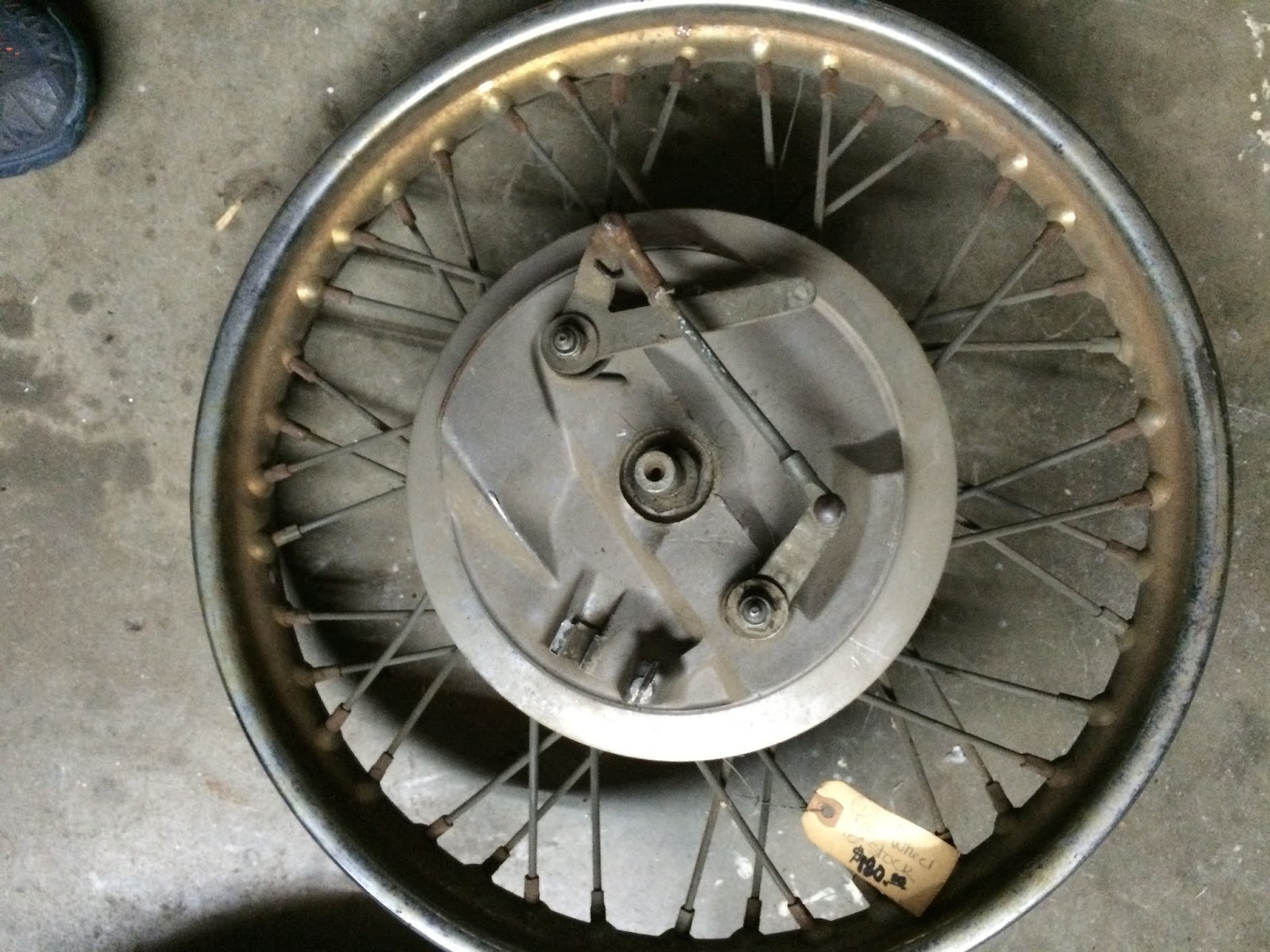 borrani motorcycle rims