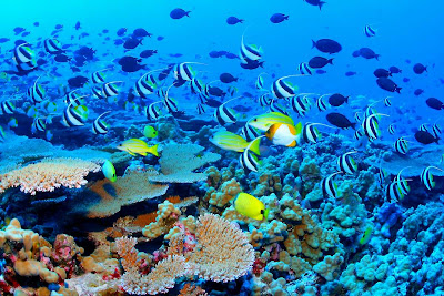 (Australia) – The Great Barrier Reef