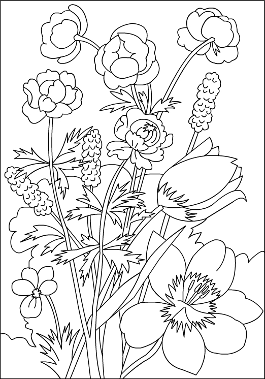 Nicole's Free Coloring Pages