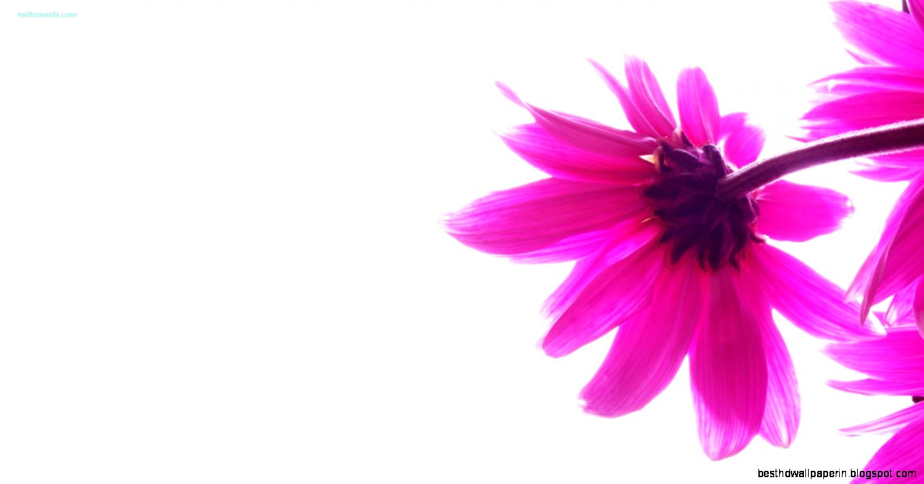 pink hd abstract backgrounds