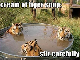 tigers in a bath