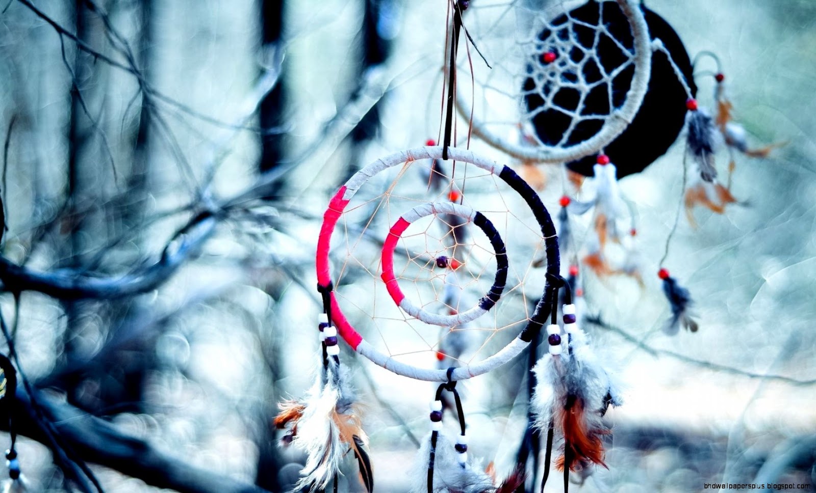 Dream Catchers Desktop