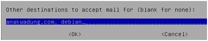 Accept mail