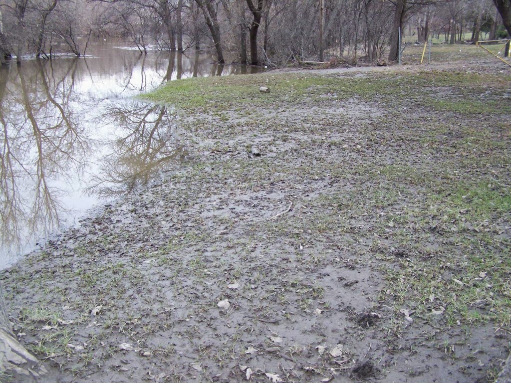 CO Horts Muck On Turf From The Recent Floods What Should I Do 