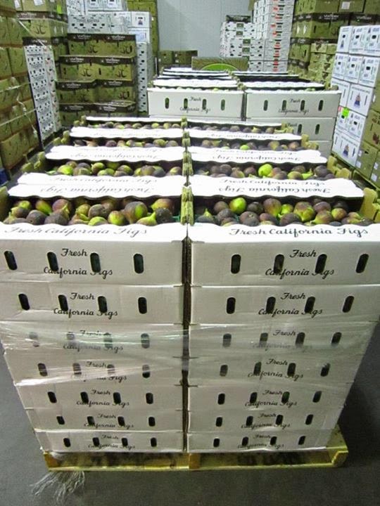 Figs Photo Collection Around the World Maywood Farms Figs Company