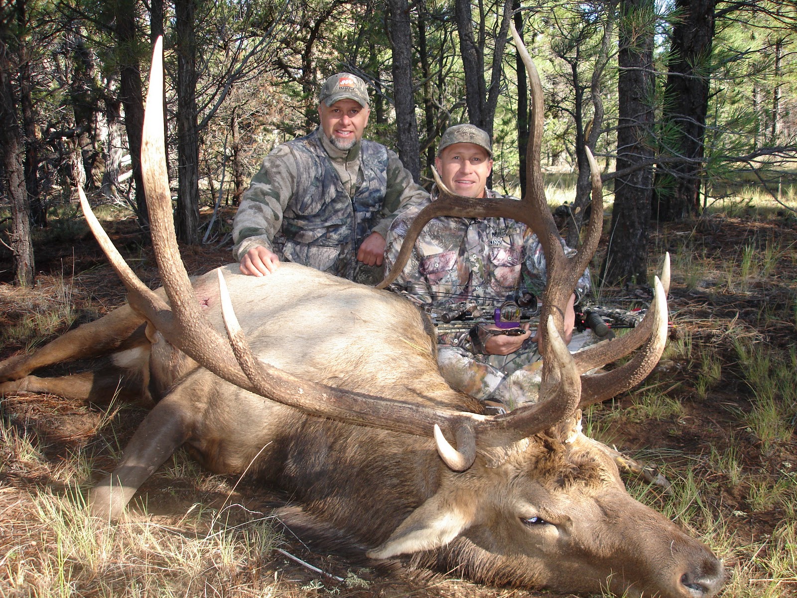 PERRY BERRY BLOG Northern AZ Archery Hunt
