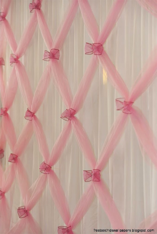 Pretty Party Backdrop Tulle gathered with wire edged ribbon bows